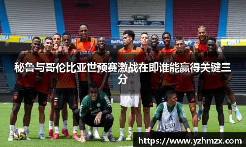 VSport胜利因您更精彩
